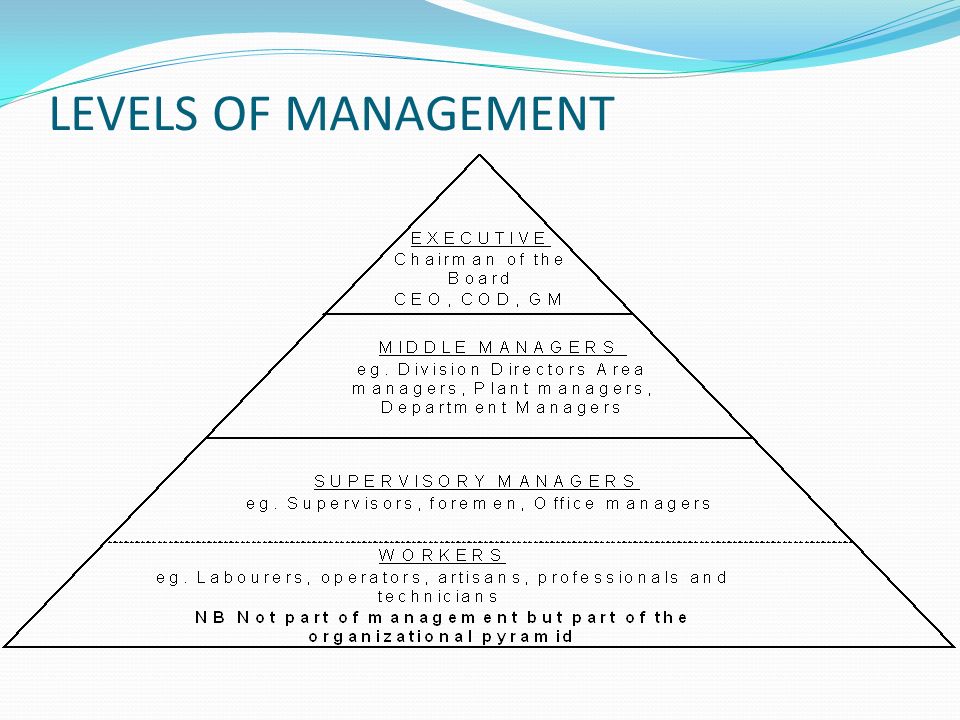 Management at all levels of specialized